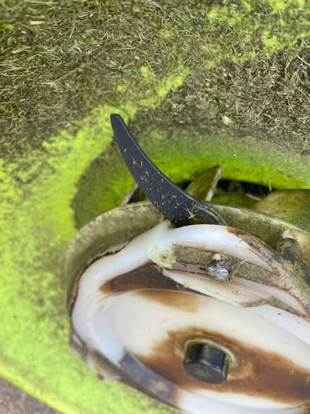 Photo of free Hover lawn mower (Mossley OL5) #2