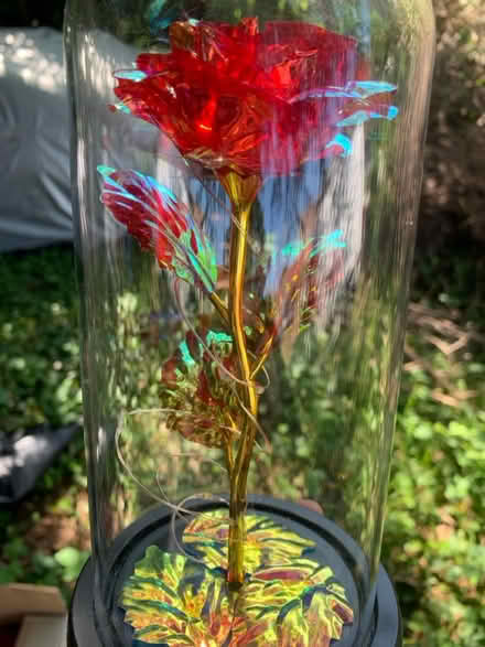 Photo of free Flower in a tub (AL2 / SG6) #1