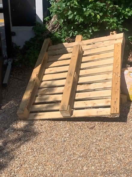 Photo of free Pallets (guildford) #1