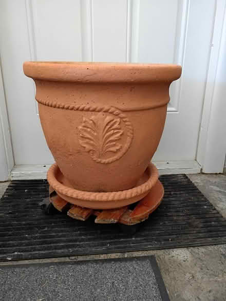 Photo of free Large Plant Pot (Sunrise- near City Hall) #1
