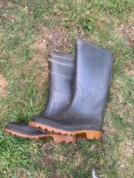 Photo of free Mens wellies size 8 (42) (Pooley Green TW20) #1