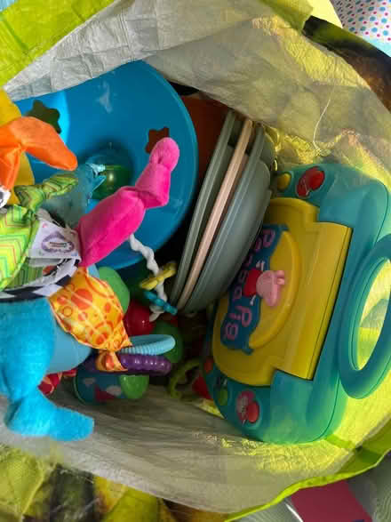 Photo of free Bag with toys for babies (Woking) #2