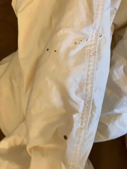 Photo of free Single Duvet (Sidcup/New Eltham DA15) #2