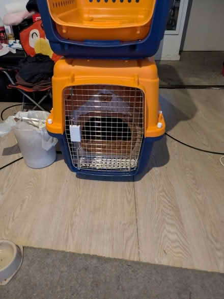 Photo of free Travel crate (West Norwood SE27) #1