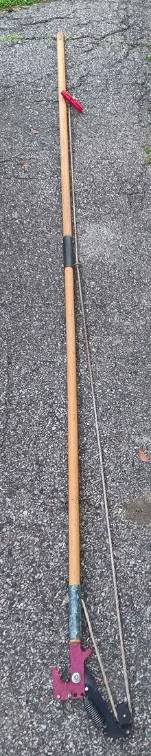 Photo of free Poll trimmer (City of Chelsea) #1