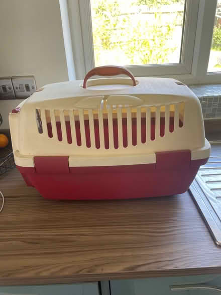 Photo of free Cat carrier (Foxholes SG13) #1