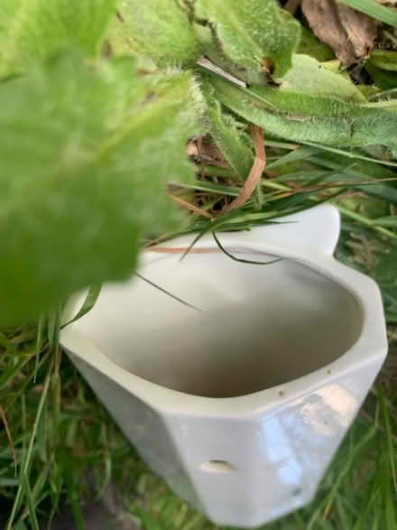 Photo of free Narrow porcelain vase (AL2 / SG6) #3
