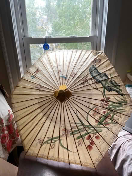 Photo of free paper umbrella (Davis Sq) #1