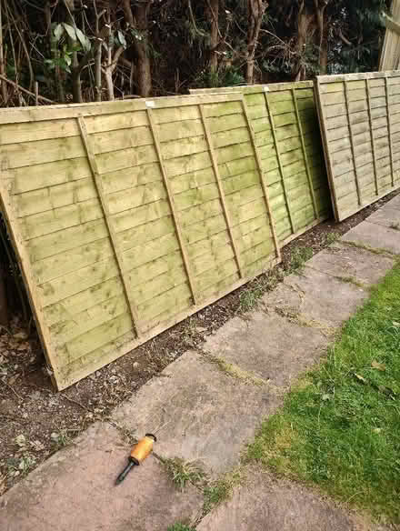 Photo of free 4ft Fence Panels (Park Farm South B80) #1