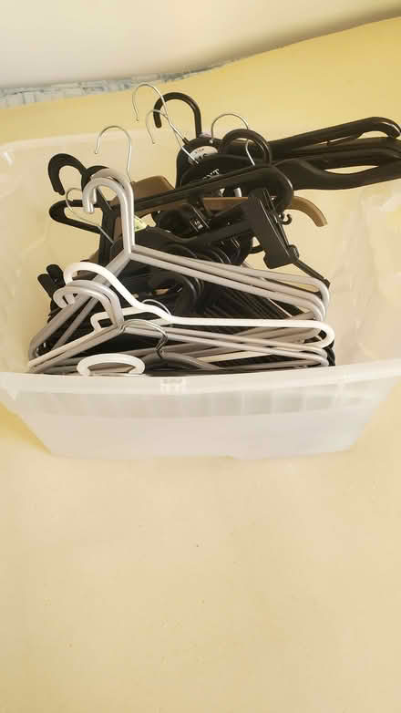 Photo of free Clothes hangers (Wallacestone FK2) #2