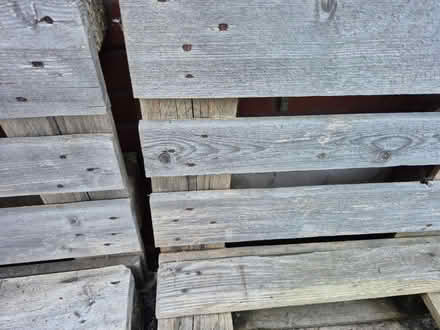 Photo of free Pallet bench (M41) #2