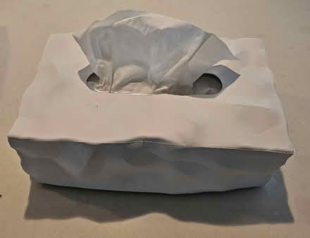 Photo of free 2 kleenex box covers (Brighton/Lower Allston) #3