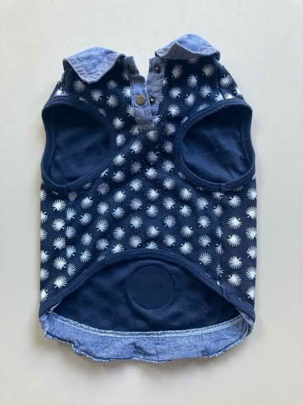 Photo of free Dog shirt (Bath BA2) #2