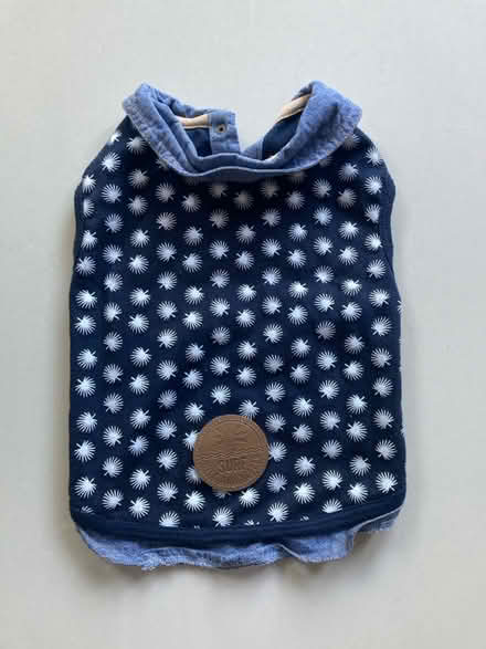 Photo of free Dog shirt (Bath BA2) #1