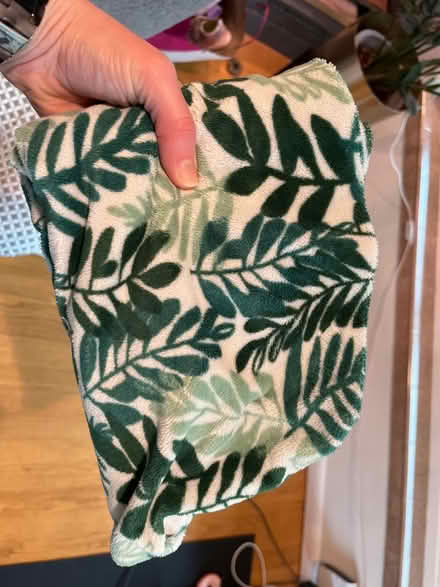 Photo of free Baby gear (Carkeek) #2