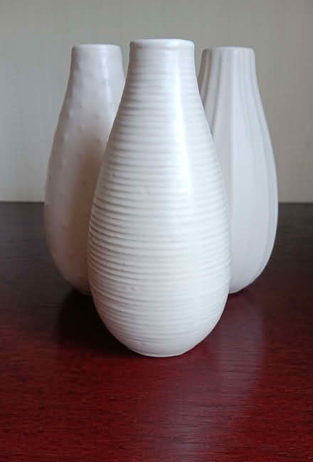 Photo of free Vase (Lower Sheering CM21) #2
