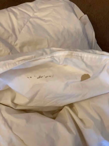 Photo of free Single Duvet (Sidcup/New Eltham DA15) #3