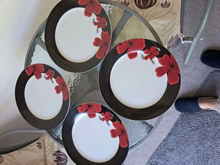 Photo of free Four Dinner Plates (Kimberley NG16) #1