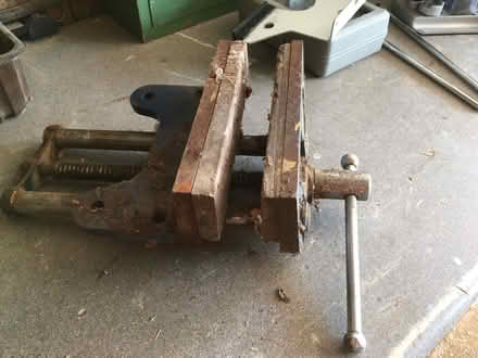 Photo of free Vice (Wokingham RG40) #2