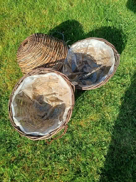 Photo of free Hanging baskets (Earley RG6) #1