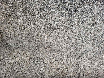 Photo of free Carpet (Upton CH2) #1