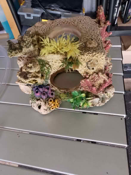 Photo of free aquarium ornament (Waltham Abbey EN8) #1