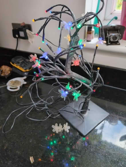 Photo of free Led flowers (Woodmancote) #1