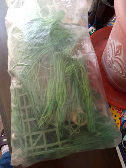 Photo of free bag of artificial plants (Waltham Abbey EN8) #2