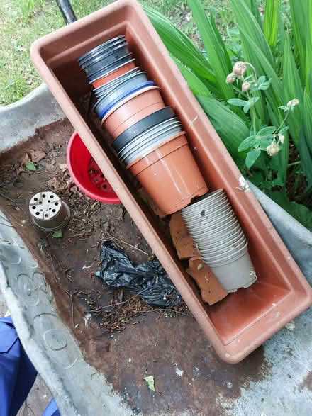 Photo of free Plantpots (Newbottle DH4) #1