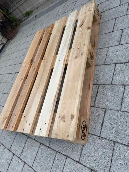 Photo of free Wooden pallets (Welling DA16) #3