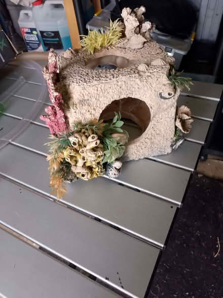 Photo of free aquarium ornament (Waltham Abbey EN8) #2
