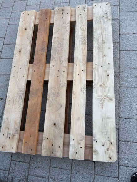Photo of free Wooden pallets (Welling DA16) #1