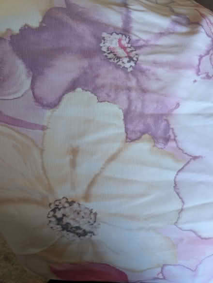 Photo of free Floral curtains (Pudsey LS28) #2