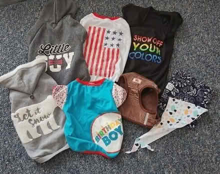 Photo of free Dog Clothes, Size Large and XL (plus bandannas) #1