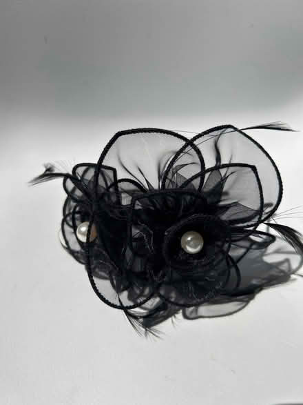Photo of free Fascinator (Herne Hill SE24) #1