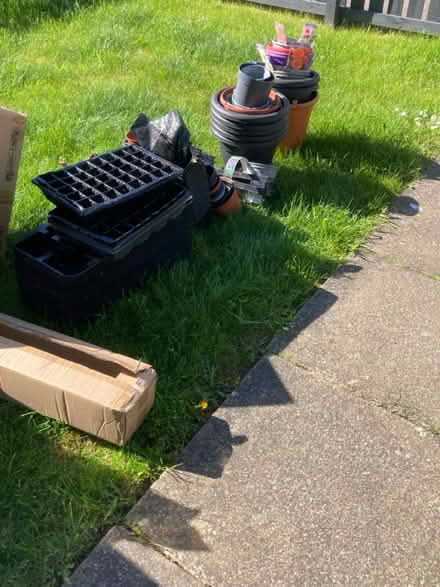Photo of free Various plant pots (Bonnyrigg) #2