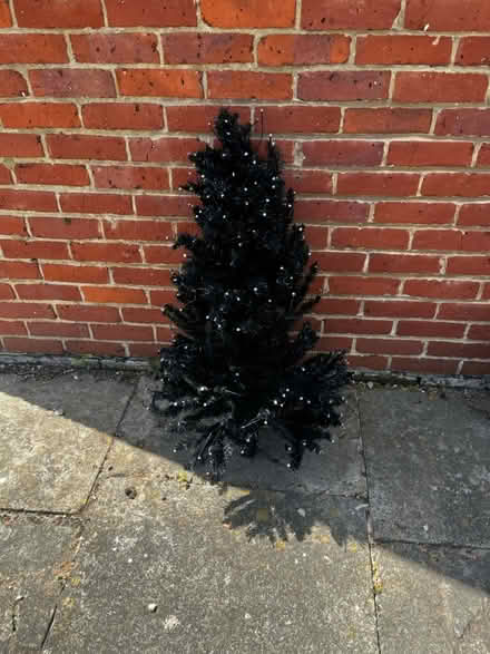 Photo of free False black Christmas tree (Yalding ME18) #1