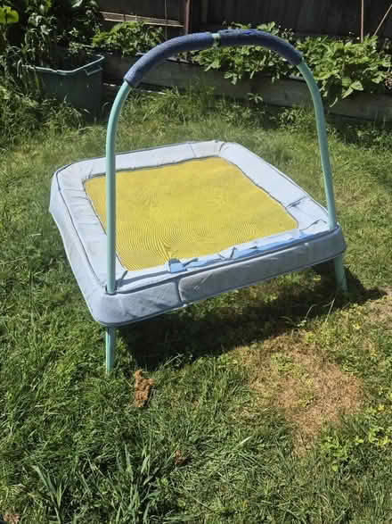 Photo of free Kids trampette (Bath, BA1) #1