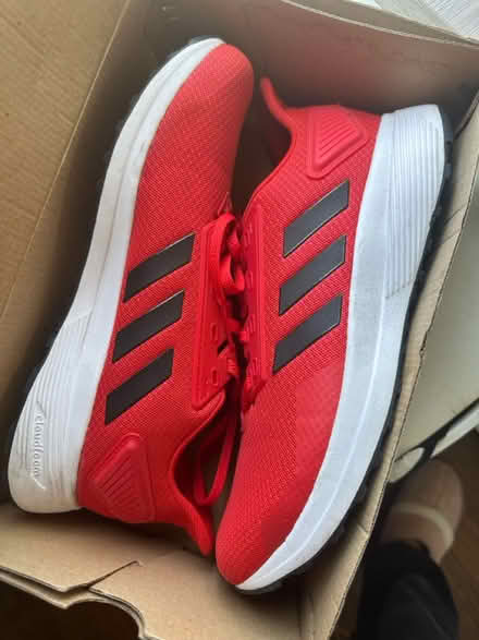 Photo of free Men adidas shoes (Oakland) #1