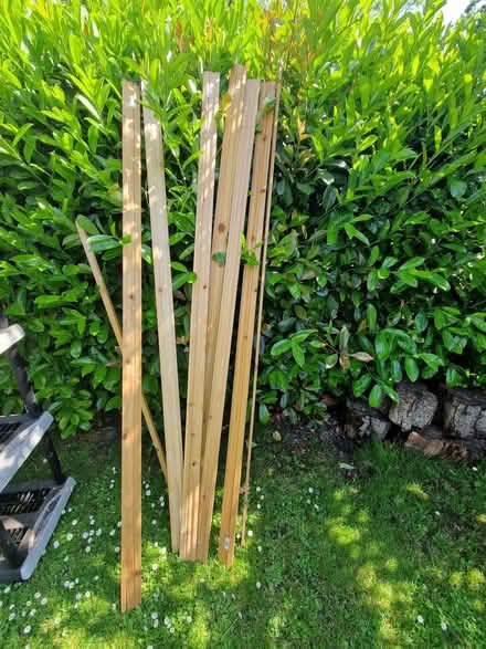 Photo of free Door frame wood (Sunningdale SL5) #1