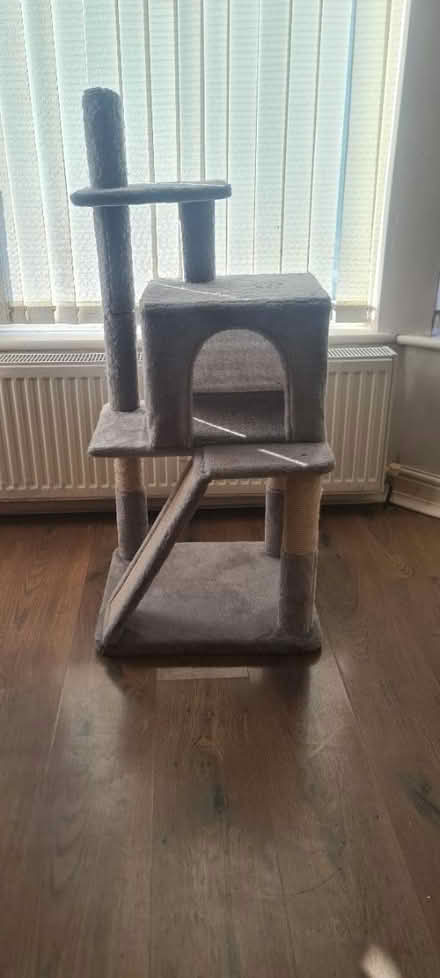 Photo of free Cat tree (Leigh) #1
