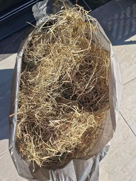 Photo of free Hay (Tranmere Park LS20) #1