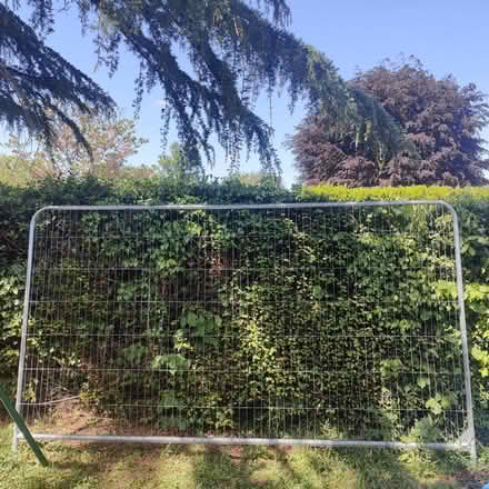Photo of free Heras Fence Panel (South Croydon - CR2) #1