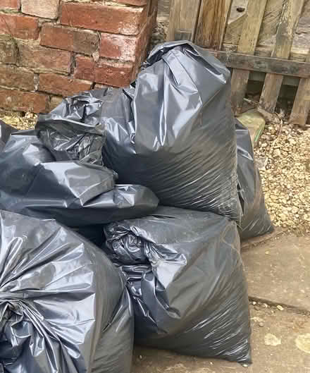 Photo of free 4 bags of used compost (Great Bourton, OX17) #1