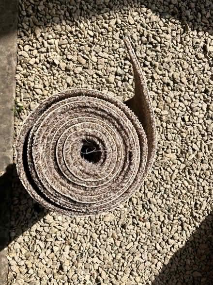 Photo of free Carpet offcut (Tunnel Hill WR8) #2