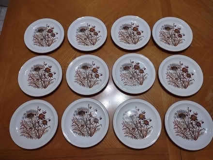 Photo of free Set of 12 dessert plates (Sunrise- near City Hall) #2