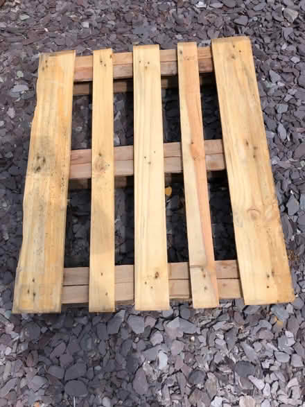 Photo of free Wooden pallet (Maidstone (Barming)) #1