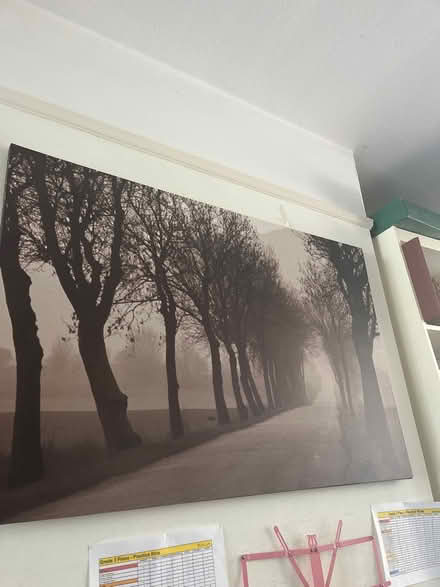 Photo of free Wall picture (Whitton. TW3) #1