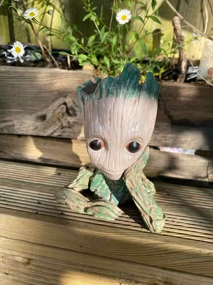 Photo of free Small Groot Plant Pot (Weston) #1