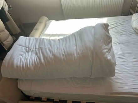 Photo of free Thick warm 13.5 tog king duvet (Forrest hill station) #1
